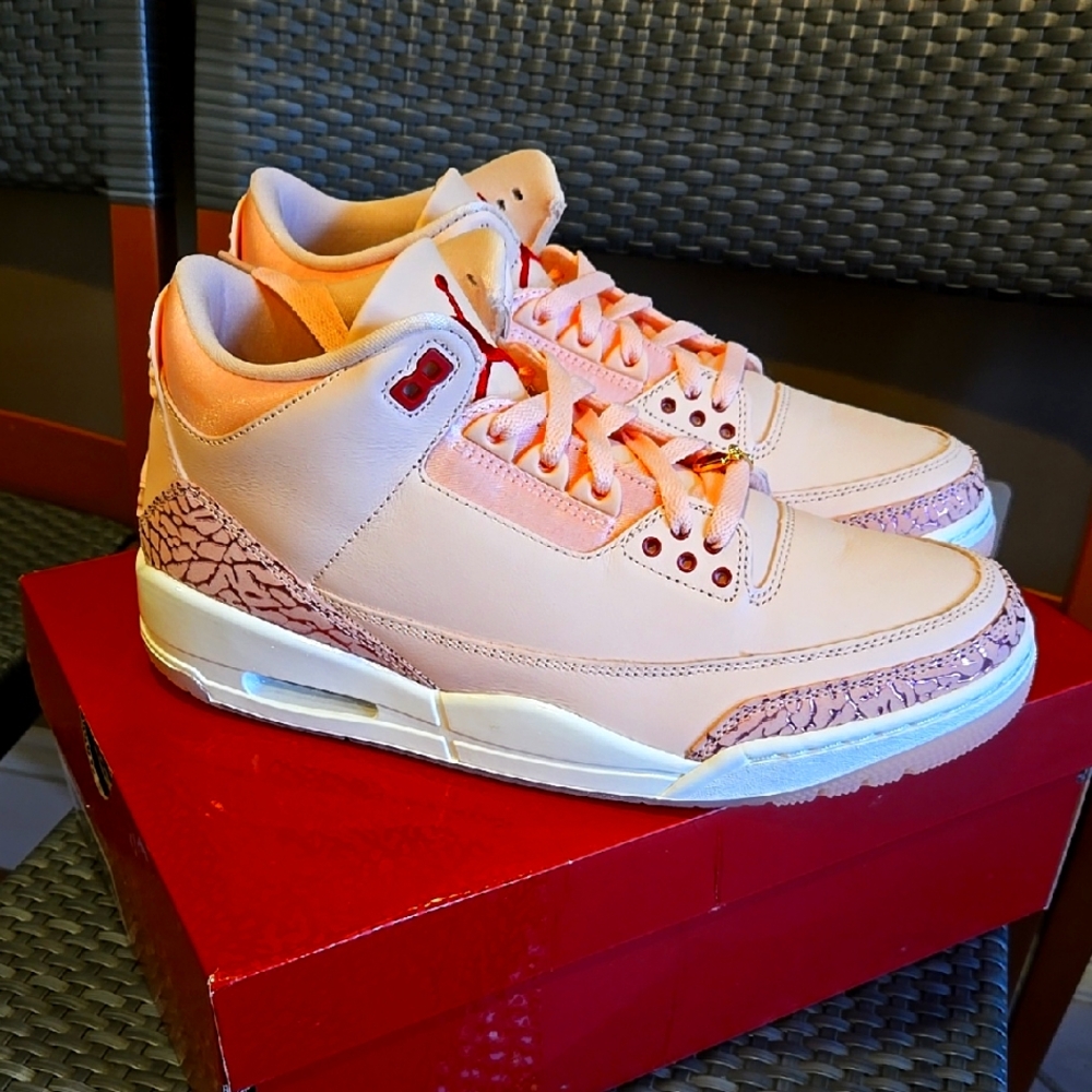 NWT Jordan 3